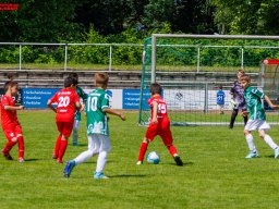 Hillen Cup 2024